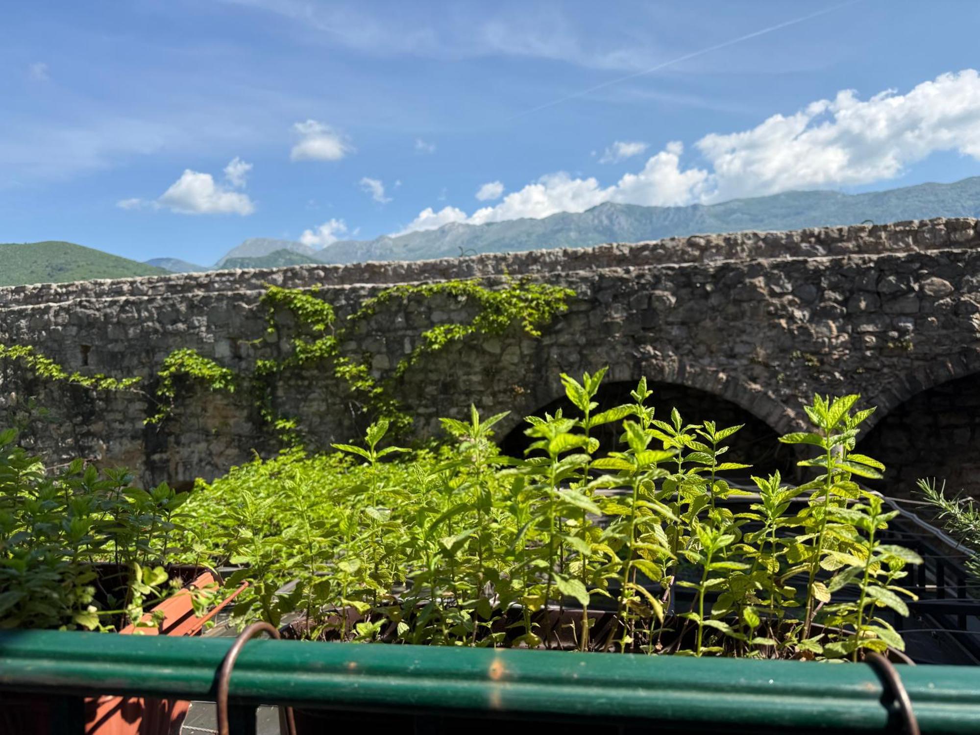 Apartments Aleksic Old Town بودفا المظهر الخارجي الصورة
